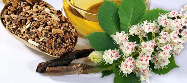 Horse Chestnut Flower Alcohol Tincture